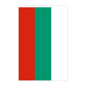 Venta al por mayor 14*21cm <span class=keywords><strong>Bulgaria</strong></span> bandera banderín patrón de impresión Digital banderín para decoraciones - Product Image 2