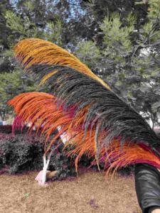 Plumas de Pampas Preservadas al por Mayor, Grandes, Esponjosas, Tacto Natural, Decoración Boho, Arco de Boda, Lujo, Navidad, Naturales y Secas - Product Image 5