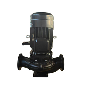 Bomba de Circulación Centrífuga y Bomba de Presión de Una Etapa para Tuberías con Motor y Rodamiento, Sistema de Filtración Dedicado de 20000 L/Hora, Vertical - Product Image 4