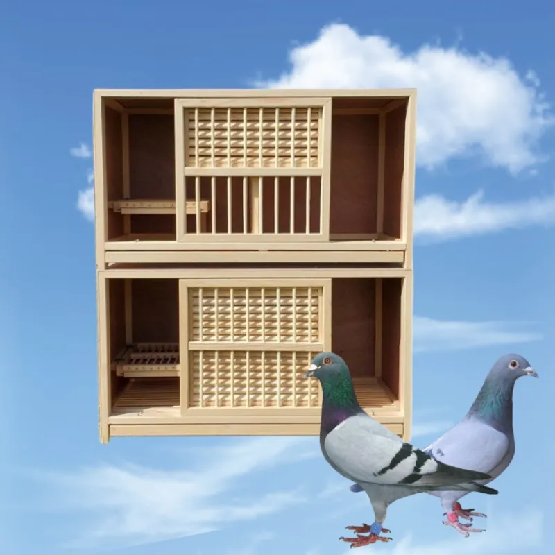 Schlussverkauf alle Jahreszeiten modulare hölzerne Vogelprodukte Rennstab-Nestkasten hölzerne Tauben-Züchtungskäfig für Tauben
