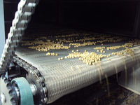 Ligne de production de céréales de petit-déjeuner extrudées à double vis, prix avantageux, écologique, haute efficacité, moteur 304