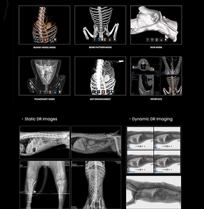 Equipo de Hospital Veterinario: Nuevo Escáner Digital DR de Baja Dosis con Brazo en C para Imágenes 3D de CBCT, CT, Odontología, Ortopedia y Oncología en Animales (10s Scan, 66cm) - Product Image 6