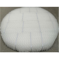 Emballage structuré en plaque perforée ondulée en plastique, moulage par injection PTFE, haute efficacité de transfert de masse