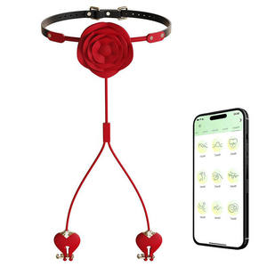 Juguete sexual SM en forma de Rosa 2 en 1, masajeador con Clip para el pecho y tapón bucal, vibrador de bola, pinzas para pezones para mujeres - Product Image 1