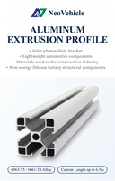 NeoVehicle - Perfil de Extrusión de Aluminio 6063-T5 Personalizado, Ranura en T, Marcos y Ventanas para Paneles Solares, Acabado Anodizado, Mecanizado CNC, OEM Jiangsu