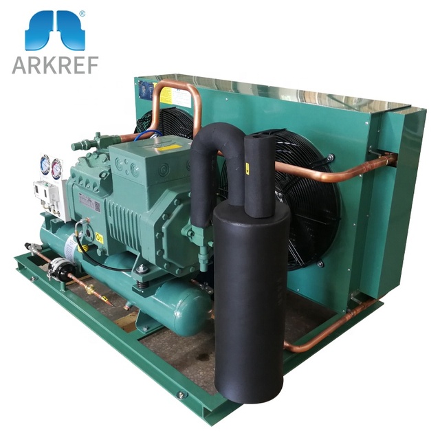 ARKREF Bitzer Compressor Cold Room Air Cooled Refrigeration Condensing Unit with Remote Control
