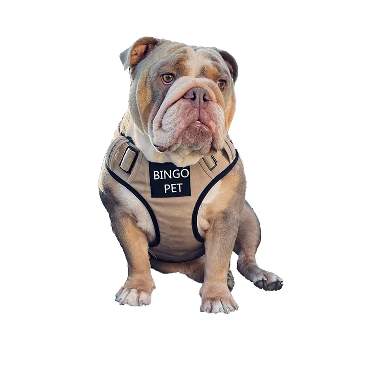 Premium Soft Neoprene Padding Dog Harness Vest For Bully Dogs