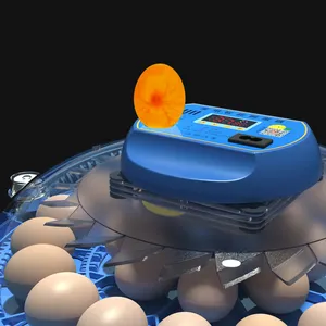Heimgebrauch 80 Eierb rutsch rank voll automatische Inkubator maschine zum Schlüpfen von Hühnereiern