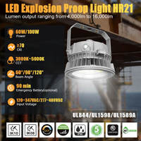 Lumière LED antidéflagrante à montage sur poteau 100W avec tube droit de 308 mm Zone 1/2