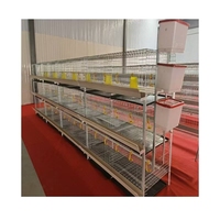 Poulailler à étages personnalisable, cage à poulets de type H avec acier galvanisé