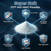 Poudre adhésive thermofusible DTF en copolyamide TPU, polyuréthane blanc pour impression par transfert sur soie et coton