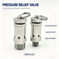 Mini-vanne de sécurité en acier inoxydable SS316, filetage mâle, vanne de décharge de pression à ressort réglable pour réservoir de compresseur d'air, de gaz ou d'eau