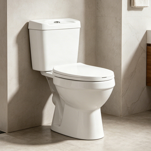 Prix le plus bas pour toilettes céramiques sur pied en deux pièces, directement de l'usine, FCL 20ft 40ft pour les entrepreneurs, commande en gros - Product Image 1
