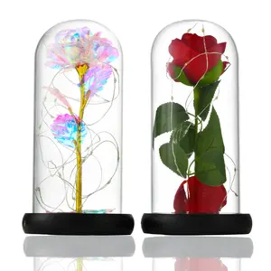 Hadiah Hari Valentine Hari Ibu Bunga Abadi Bionik, Hiasan Bunga Abadi Mawar Yang Diawetkan