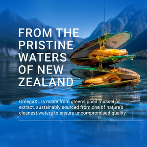 Coquilles de moules à lèvres vertes de haute qualité, huile d'olive et vitamine E : Soulagement des articulations et amélioration de la mobilité articulaire (gélules molles) - Product Image 6