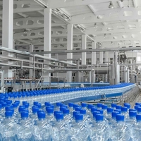 Ligne complète de remplissage d'eau en bouteilles PET clé en main 1000-50000 BPH avec traitement, soufflage et bouchage