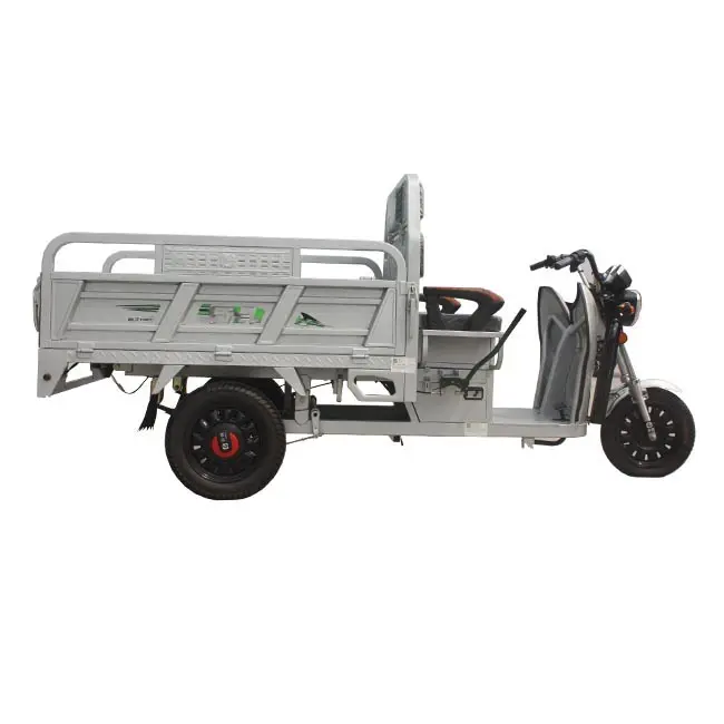 High Popularity Battery Electric Three Wheel Motorcycle Cargo Tricycle For Adult China