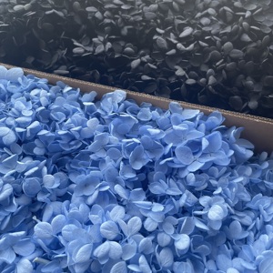 Vente en gros de 100g de pétales d'hortensia en bois de haute qualité, blancs et bleus, préservés, pour la Saint-Valentin et Noël - Product Image 4