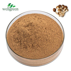 Wellgreen Agrocybe <span class=keywords><strong>Aegerita</strong></span>/Extrait de champignon d'arbre à thé 10%-50% Poudre de polysaccharides - Product Image 1