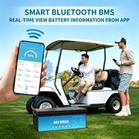 Batterie LiFePO4 48V 100Ah légère rechargeable au lithium pour voiturette de golf, marine, avec BMS CE, à décharge profonde pour stockage d'énergie