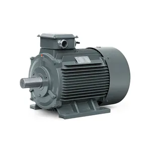 Industrial 30kw Permanent magnet synchronous drive motor 3 phase PMSM high efficiency IE4 IE5 custom factory price