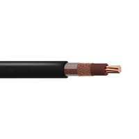 Cable de Cobre Awg Monofásico, Concentrico, Aislado con XLPE y PVC, 2x8 2x10 3x6 3x8 para Aplicaciones Aéreas