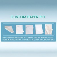 Papier toilette biodégradable et compostable en pâte de bambou, doux, lavable, jetable, respectueux de l'environnement, 2026, fournisseur en gros OEM ODM personnalisé
