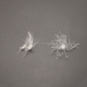 Tiêu Chuẩn Châu Âu Rửa Sạch Ngỗng Xuống 800 Điền Điện Trắng Xám Vịt Ngỗng Xuống Cho Chăn - Product Image 5