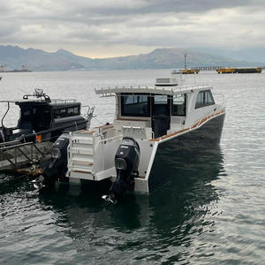 Catamarán <span class=keywords><strong>de</strong></span> Aleación <span class=keywords><strong>de</strong></span> Aluminio <span class=keywords><strong>de</strong></span> 10 m con <span class=keywords><strong>Motor</strong></span> Fuera <span class=keywords><strong>de</strong></span> Borda, Construcción Soldada, Catamarán <span class=keywords><strong>de</strong></span> Aluminio para Pesca y Ocio - Product Image 3
