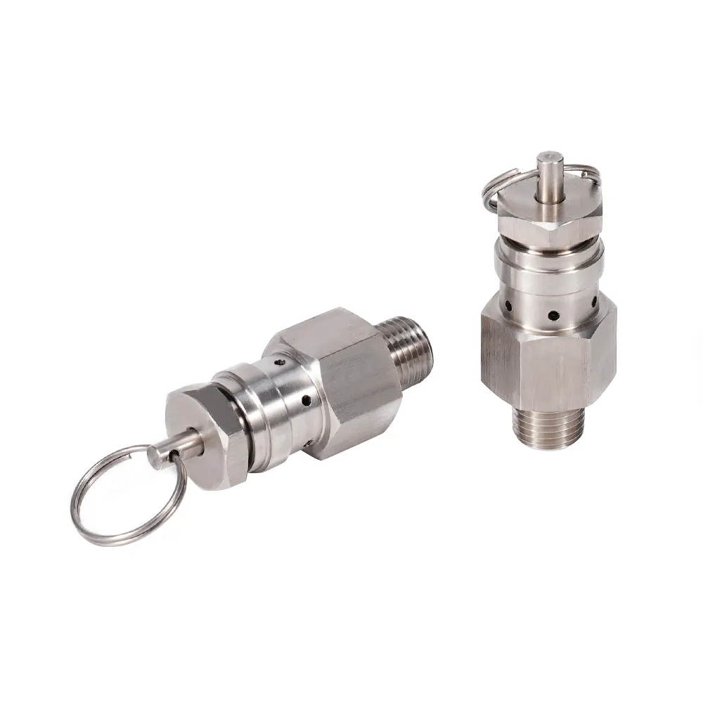 Manual Extra Small 1/4 Air Low Pressure Relief Valve