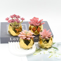 Plante succulente artificielle en plastique en pot, pot en forme de diamant, bonsaï, décoration d'intérieur, mini ornement, arrangement de fleurs artificielles, petit modèle
