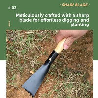 Ensemble d'outils horticoles pour la plantation de fleurs domestiques, avec repiqueur de semis, pelle agricole et pelle de jardinage