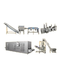 Diepgevroren Groente Machine Fruit Bevroren Groene Bonen/Maïskorrels Productielijn
