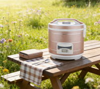 Autocuiseur Électrique Intelligent à Revêtement Antiadhésif, Capacités 1L, 1.5L, 1.8L, 2.2L, 2.8L, Vente Directe Usine en Gros