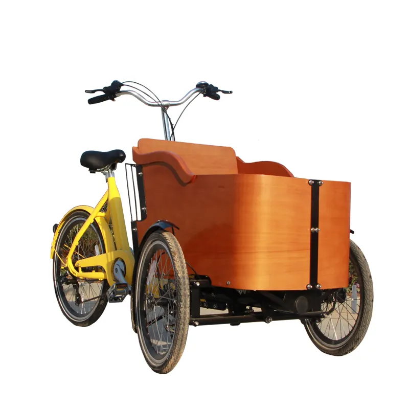 الدنماركية cargobike الكهربائية دراجة ثلاثية العجلات الكبار للأسرة الكهربائية دراجة ثلاثية العجلات 3 عجلة دراجة كهربائية دراجة البضائع الكهربائية الهولندية الدراجة