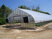 Kit de serre agricole à simple travée économique, avec film PE et structure en tubes d'acier galvanisé à chaud, grande taille, facile à installer, fabrication chinoise