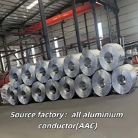Conductor Aéreo de Aluminio de Alta Tensión Wolf AAC ACSR AAAC 120-630mm 35kV-750kV IEC 61089 GB/T Precio de Fábrica |   Personalizado