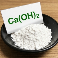 Hydroxyde de calcium à 95 % de pureté pour neutralisant écologique utilisé dans le traitement des eaux usées