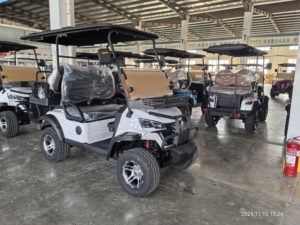 WELIFTRICH Voiturette de golf électrique tout-terrain 3-4 places, batterie lithium 60V, entièrement étanche, pour la chasse et le tourisme, 30-50 km/h, autonomie 90 km - Product Image 6