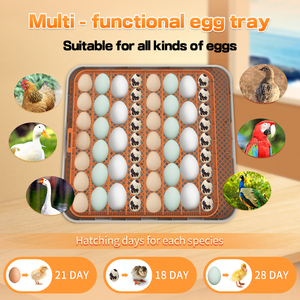 <span class=keywords><strong>Incubatrice</strong></span> per <span class=keywords><strong>uova</strong></span> HHD WONEGG a doppia alimentazione, 56 <span class=keywords><strong>uova</strong></span>, <span class=keywords><strong>incubatrice</strong></span> per <span class=keywords><strong>uova</strong></span> di <span class=keywords><strong>tacchino</strong></span>, attrezzatura per allevamento di polli, <span class=keywords><strong>incubatrice</strong></span> per <span class=keywords><strong>uova</strong></span> - Product Image 6