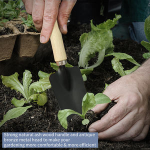 Ensemble d'outils à main <span class=keywords><strong>de</strong></span> jardinage <span class=keywords><strong>en</strong></span> acier au carbone 5 pièces outils <span class=keywords><strong>de</strong></span> <span class=keywords><strong>jardin</strong></span> kit d'outils <span class=keywords><strong>de</strong></span> <span class=keywords><strong>jardin</strong></span> à poignée <span class=keywords><strong>en</strong></span> <span class=keywords><strong>bois</strong></span> <span class=keywords><strong>de</strong></span> haute qualité - Product Image 6