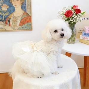 Vestido de Tul Blanco con Lazo de Pedrería para Perros y Gatos, Traje Formal para Mascotas - Product Image 3
