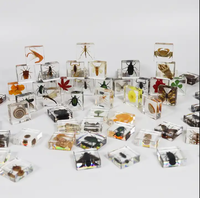 Poids-papier en forme de chauve-souris, spécimen animal, collection de taxidermie, intégré dans un bloc de lucite transparent, spécimen encadré