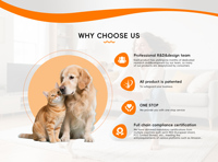 Intelligentes Wiederaufladbares Wasserdichtes IP67 Hunde- & Katzen-Trainingshalsband mit Fernbedienung Schock & Vibration Anti-Zug-Leine
