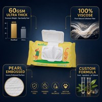 Lingettes désodorisantes pour animaux de compagnie OEM d'usine, 100 lingettes avec couvercle rabattable, 50 g/m², pH équilibré, sans parabène, sans alcool, hypoallergéniques, pour le toilettage des chiens et des chats