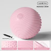 Ballon de Pilates Mini en PVC de Haute Qualité 25cm Antidérapant pour Renforcement du Core, Tonification des Fessiers, Barre et Yoga, Entraînement à Domicile