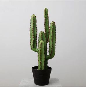 Cactus Artificiale Realistico in Vaso, Albero Simulato per Ufficio, Casa, Set Fotografico, Decorazione per Vetrine - Product Image 4