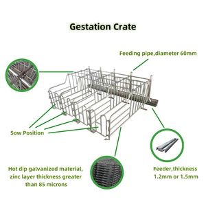 BIG CHINA Hot Dip Galvanizing Sow Limit Valla y <span class=keywords><strong>cerdos</strong></span> tipos de <span class=keywords><strong>granja</strong></span> jaulas de gestación para <span class=keywords><strong>cerdos</strong></span> - Product Image 6