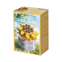 Zhiqu unisexe bricolage Construction jouet Kit en plastique succulentes bonsaï orchidée fleur Bouquet décoration voitures électronique inspiré