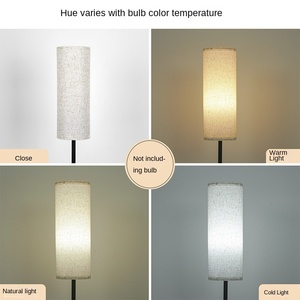 Lámpara de pie LED decorativa Retro nórdica, Simple estilo contemporáneo, cuerpo de acero inoxidable de lujo para sala de estar, sofá, decoración de esquina - Product Image 6